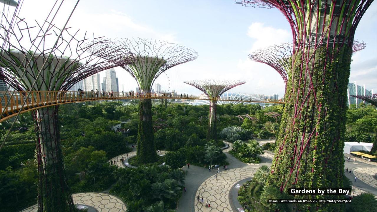 Zen Orchard Khách sạn Singapore